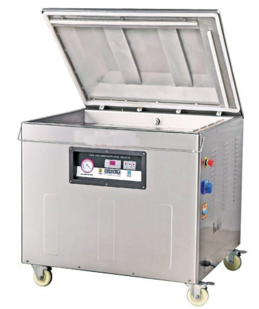 Упаковщик вакуумный DZQ-1000/2L (с газом)